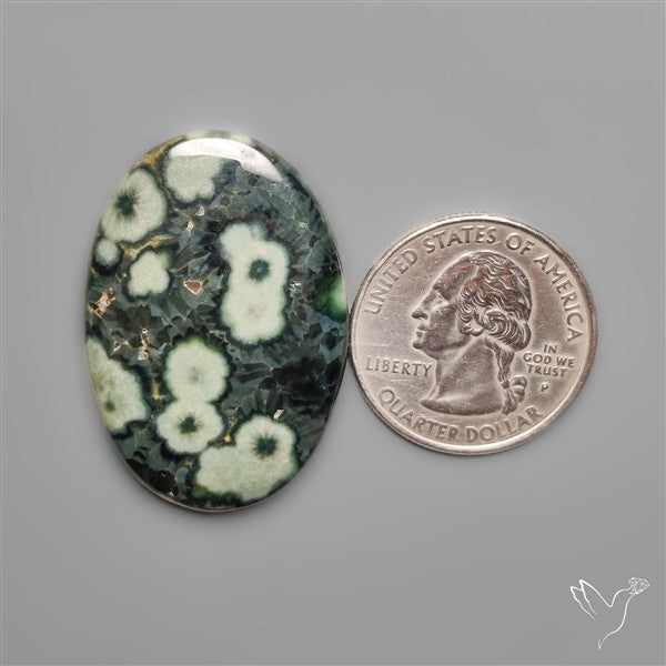 Orbicular Green Ocean Jasper Cabochon