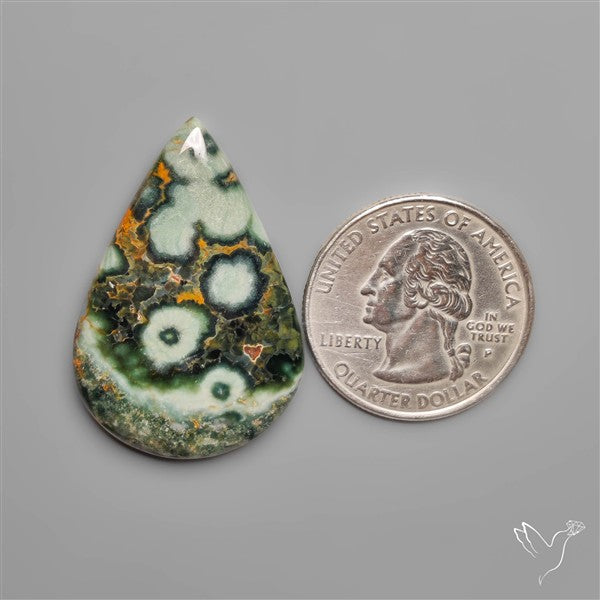 Orbicular Green Ocean Jasper Cabochon