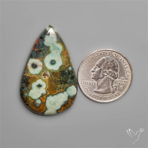 Orbicular Green Ocean Jasper Cabochon