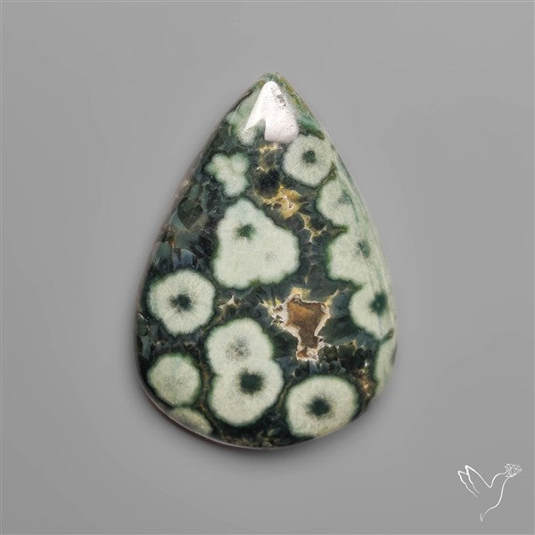Orbicular Green Ocean Jasper Cabochon