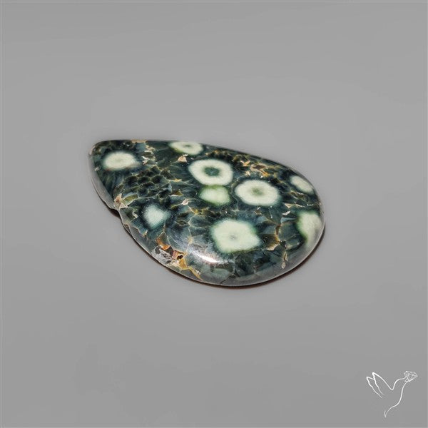 Orbicular Green Ocean Jasper Cabochon