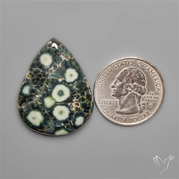 Orbicular Green Ocean Jasper Cabochon