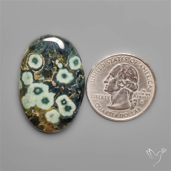 Orbicular Green Ocean Jasper Cabochon