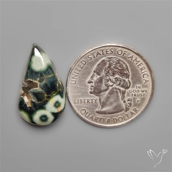Orbicular Green Ocean Jasper Cabochon