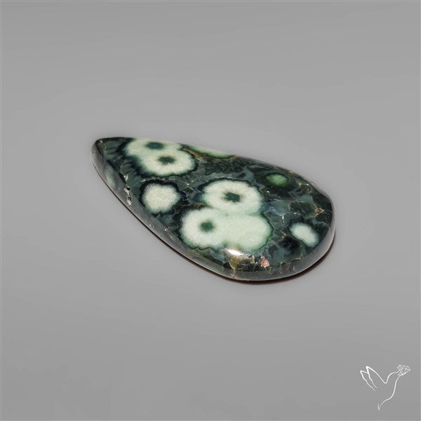 Orbicular Green Ocean Jasper Cabochon