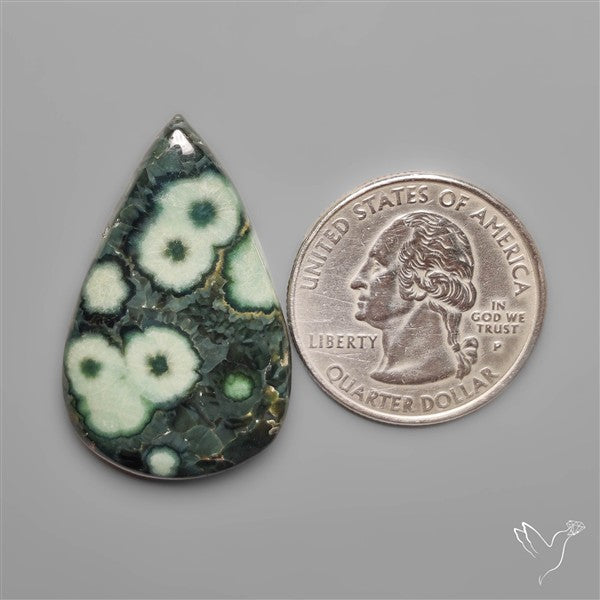 Orbicular Green Ocean Jasper Cabochon