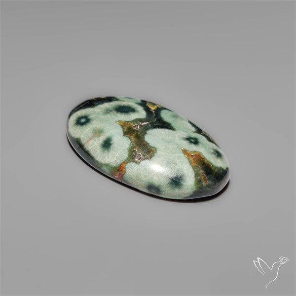 Orbicular Green Ocean Jasper Cabochon
