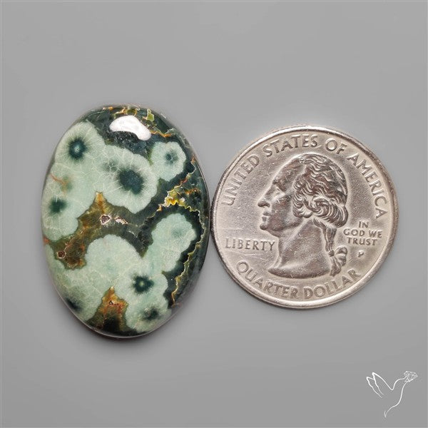 Orbicular Green Ocean Jasper Cabochon