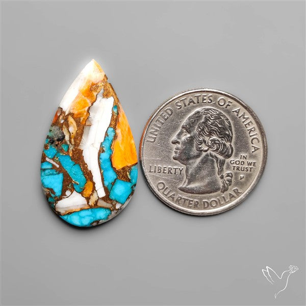 Spiny Oyster Mohave Turquoise Cabochon