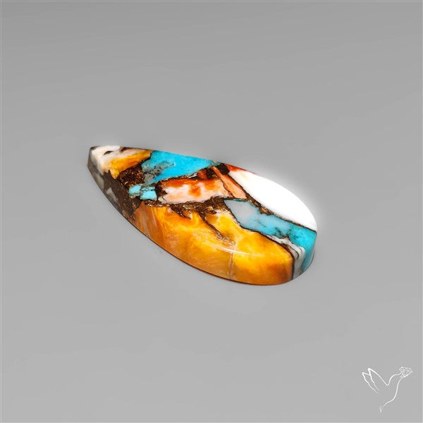 Spiny Oyster Mohave Turquoise Cabochon