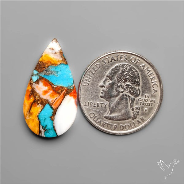 Spiny Oyster Mohave Turquoise Cabochon