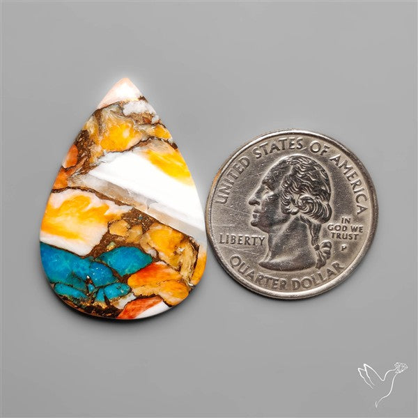 Spiny Oyster Mohave Turquoise Cabochon