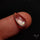 Rare Malawi Moonstone