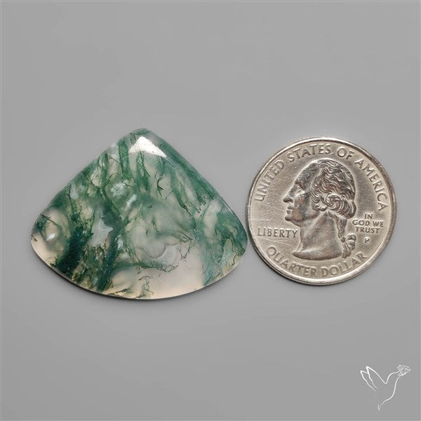 Moss Agate Cabochon