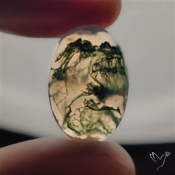 Moss Agate Cabochon