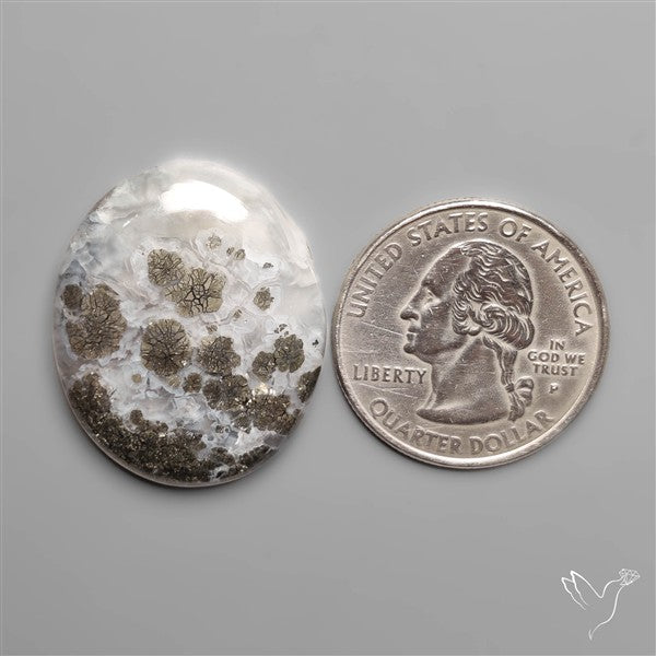 Marcasite In Quartz