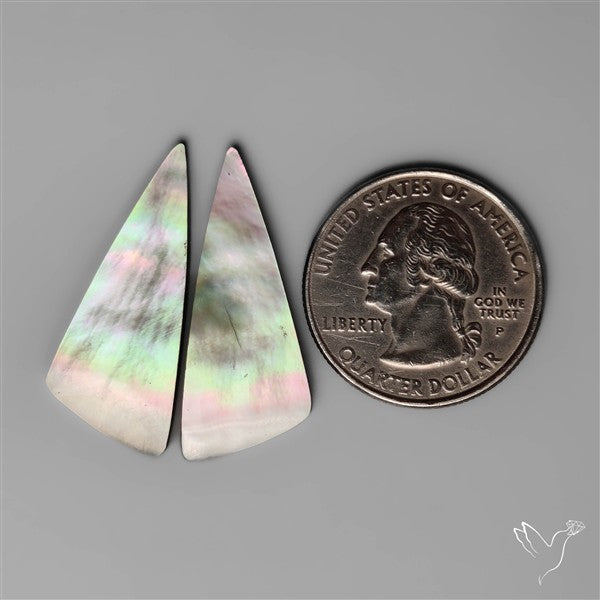 Tahitian Rainbow Mother Of Pearl Pair