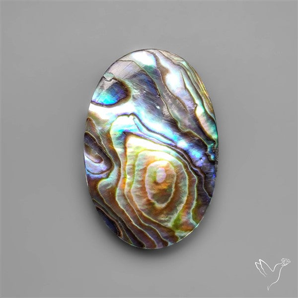 Abalone Shell Cabochon (backed)