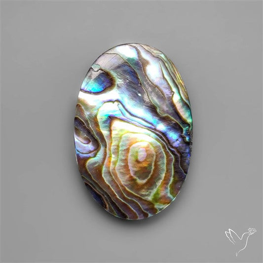 Abalone Shell Cabochon (backed)