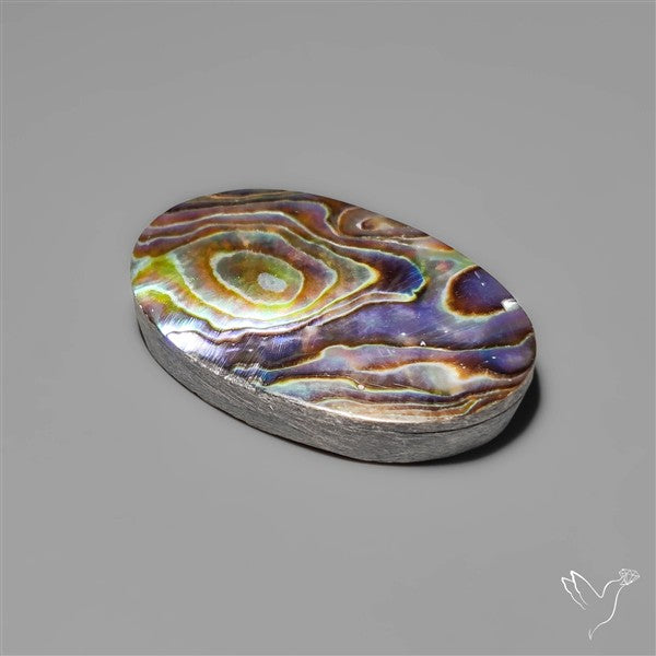 Abalone Shell Cabochon (backed)