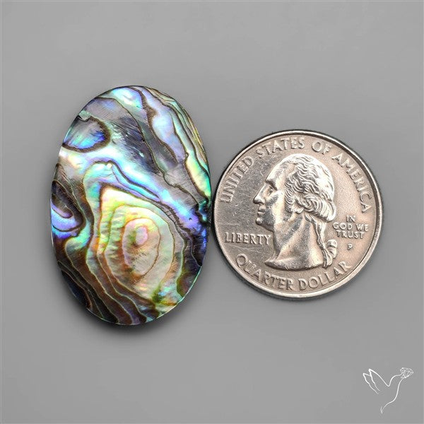 Abalone Shell Cabochon (backed)