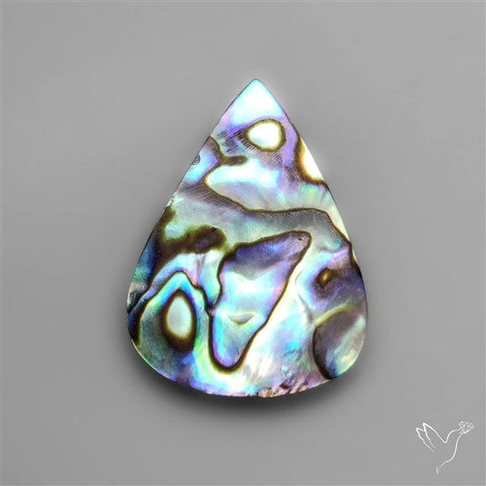 Abalone Shell Cabochon (backed)