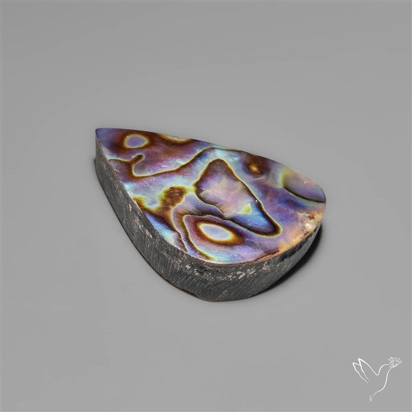 Abalone Shell Cabochon (backed)