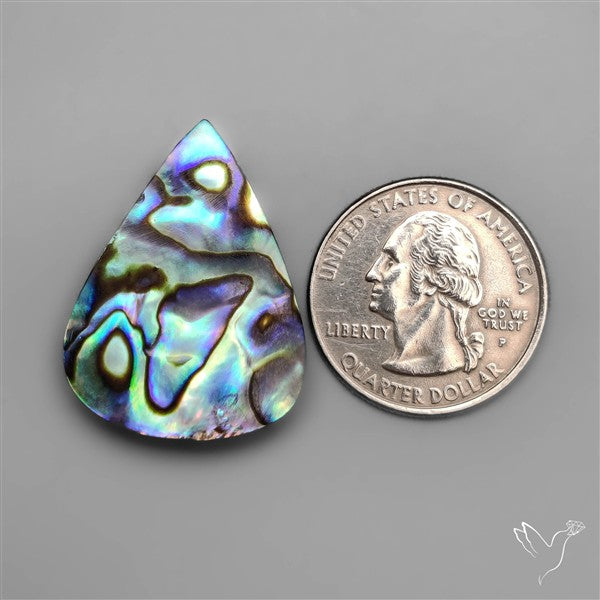 Abalone Shell Cabochon (backed)