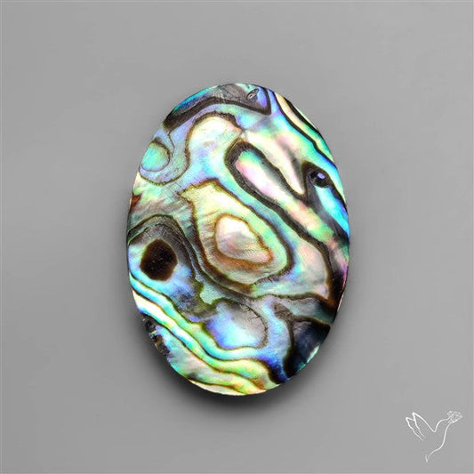 Abalone Shell Cabochon (backed)