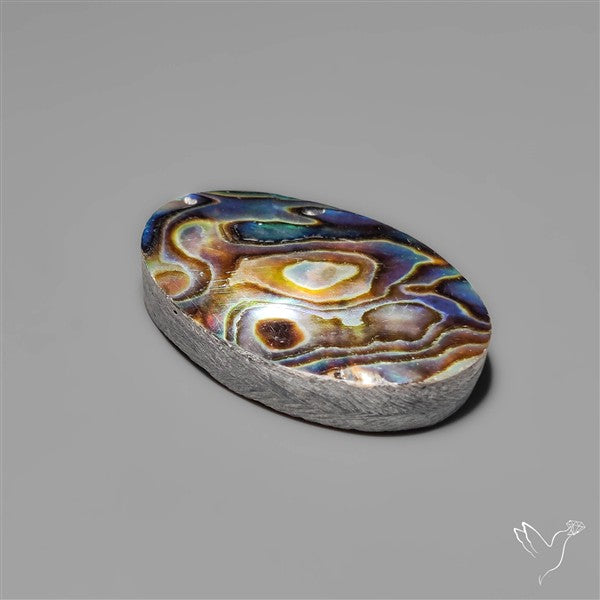 Abalone Shell Cabochon (backed)