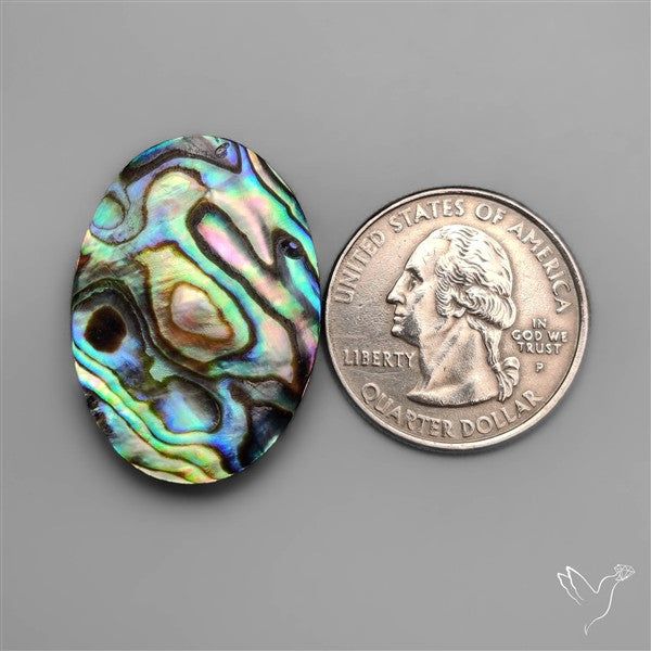 Abalone Shell Cabochon (backed)