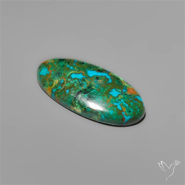 Parrot Wing Chrysocolla Cabochon