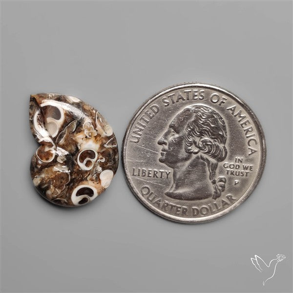 Turritella Jasper Ammonite Carving