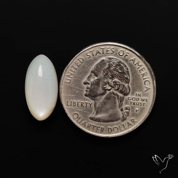 White Moonstone Cabochon