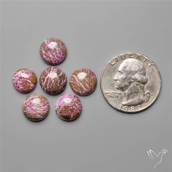 Calibrated Stitchite Cabochons Lot