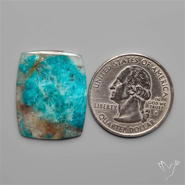 Rare Amazonite with Quartz