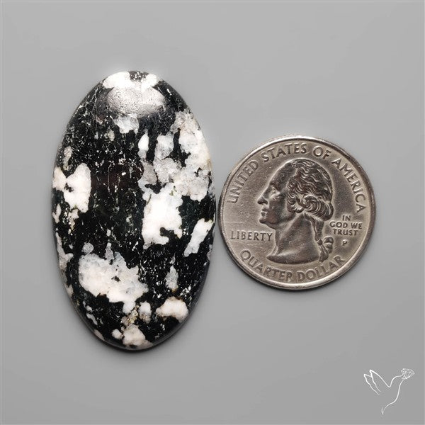 White Buffalo Turquoise