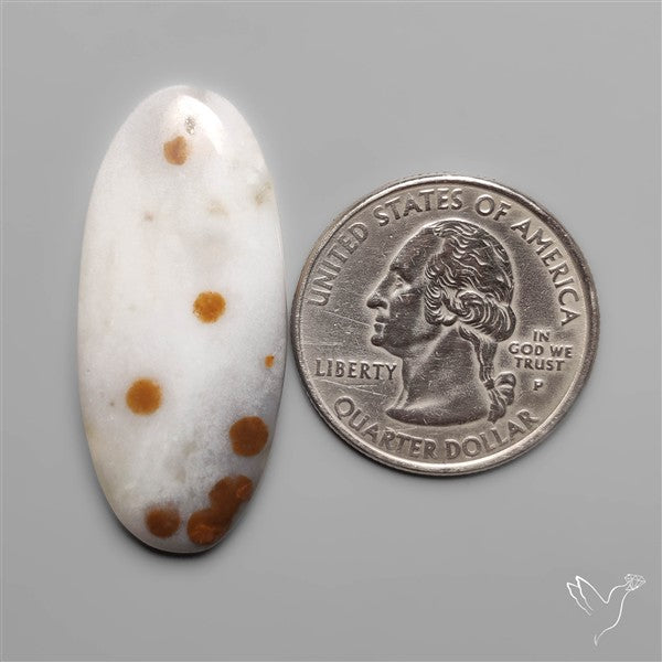 Polka Dot Agate