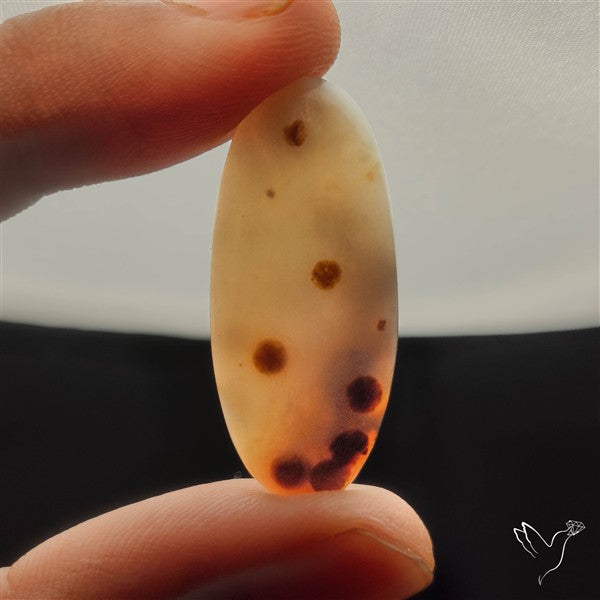 Polka Dot Agate