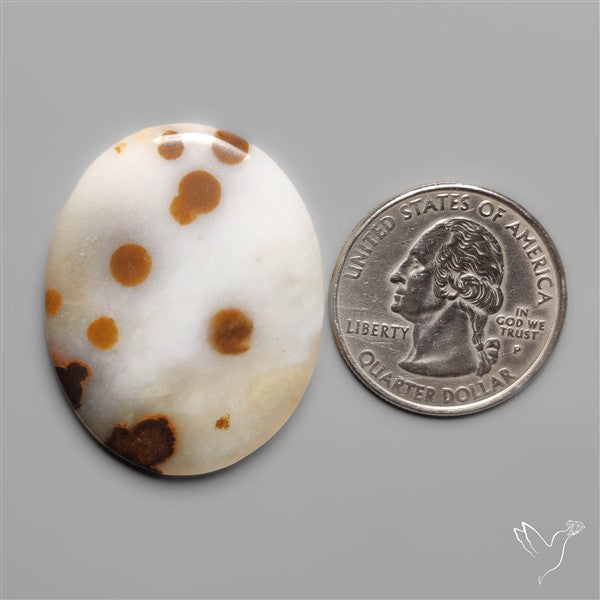 Polka Dot Agate