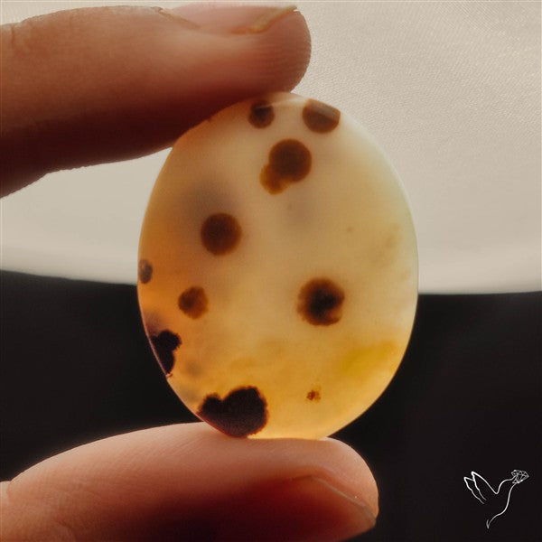 Polka Dot Agate