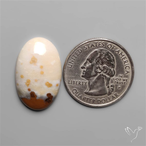 Polka Dot Agate
