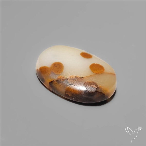 Polka Dot Agate
