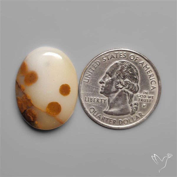 Polka Dot Agate