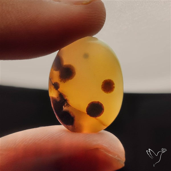 Polka Dot Agate
