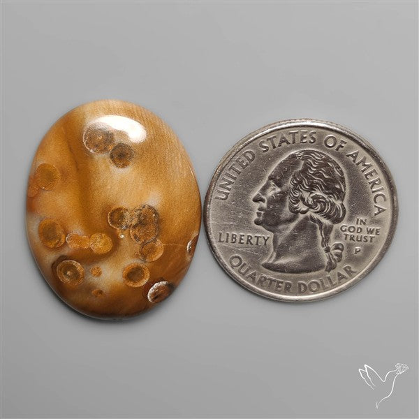 Polka Dot Agate