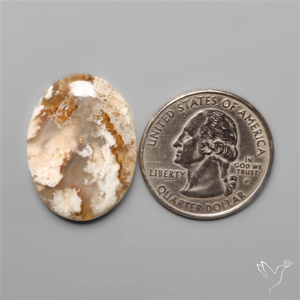 Northridge Plume Agate Cabochon