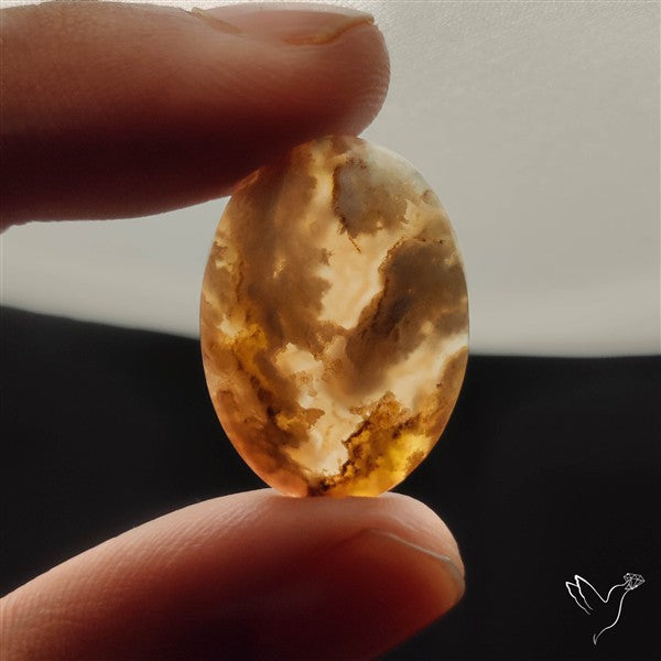 Northridge Plume Agate Cabochon