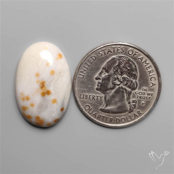 Polka Dot Agate