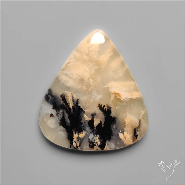 Australian Tiger Dendritic Agate